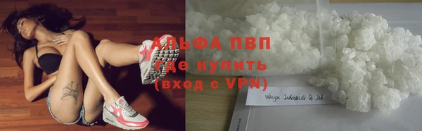 прущие крисы Алзамай