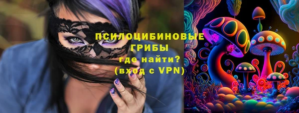 ПСИЛОЦИБИНОВЫЕ ГРИБЫ Алексеевка