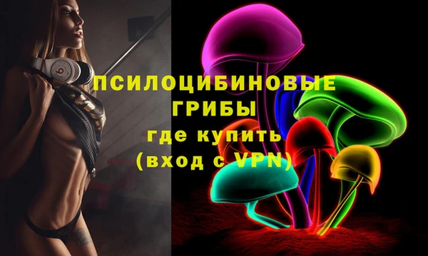 ПСИЛОЦИБИНОВЫЕ ГРИБЫ Алексеевка