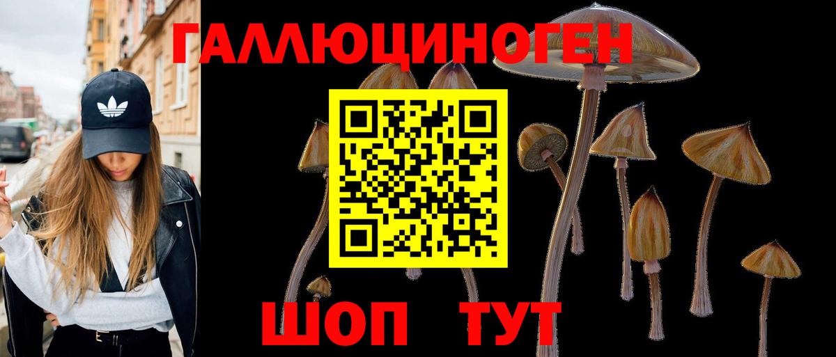 Псилоцибиновые грибы MAGIC MUSHROOMS Красноармейск